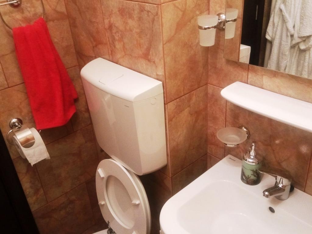 Dana Apartment Bucharest